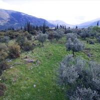 Island in Greece, Ionian Islands, Kefalonia, 5491 sq.m.