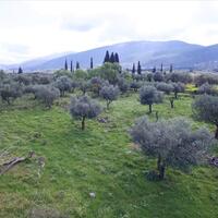 Island in Greece, Ionian Islands, Kefalonia, 5491 sq.m.