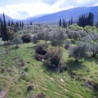 Island in Greece, Ionian Islands, Kefalonia, 5491 sq.m.