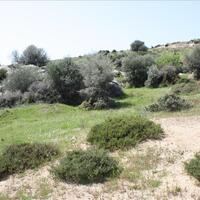 Island in Greece, 500 sq.m.