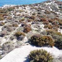 Island in Greece, 500 sq.m.