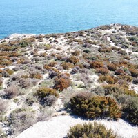 Island in Greece, 500 sq.m.