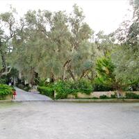 Business center in Greece, Ionian Islands, Lefkada, 262 sq.m.