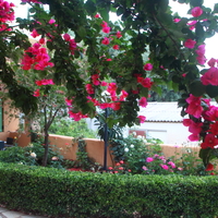 Aparthotel in Greece, Ionian Islands, Lefkada, 1000 sq.m.