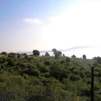 Остров в Греции, Ионические острова, Лефкас, 23940 кв.м.