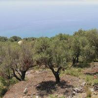 Island in Greece, Ionian Islands, 4010 sq.m.