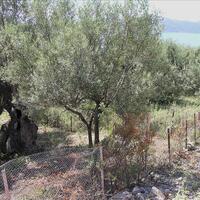 Island in Greece, Ionian Islands, 1010 sq.m.