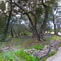 Island in Greece, Ionian Islands, 456 sq.m.