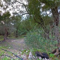 Island in Greece, Ionian Islands, 456 sq.m.