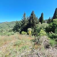 Island in Greece, Ionian Islands, Corfu, 7600 sq.m.