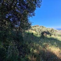 Island in Greece, Ionian Islands, Corfu, 7600 sq.m.