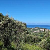 Island in Greece, Ionian Islands, Corfu, 7600 sq.m.