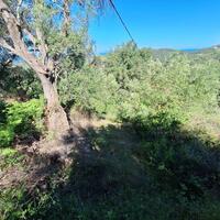 Island in Greece, Ionian Islands, Corfu, 7600 sq.m.