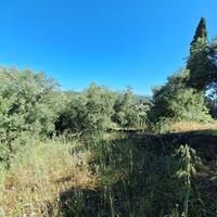 Island in Greece, Ionian Islands, Corfu, 7600 sq.m.