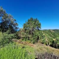 Island in Greece, Ionian Islands, Corfu, 7600 sq.m.