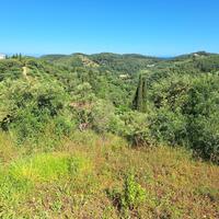 Island in Greece, Ionian Islands, Corfu, 7600 sq.m.