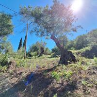 Island in Greece, Ionian Islands, Corfu, 7600 sq.m.