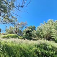 Island in Greece, Ionian Islands, Corfu, 7600 sq.m.