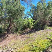 Island in Greece, Ionian Islands, Corfu, 7600 sq.m.