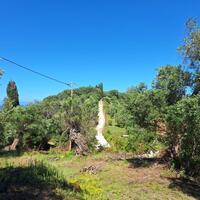 Island in Greece, Ionian Islands, Corfu, 7600 sq.m.