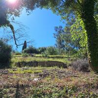 Island in Greece, Ionian Islands, Corfu, 7600 sq.m.