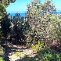 Island in Greece, Ionian Islands, Corfu, 7600 sq.m.