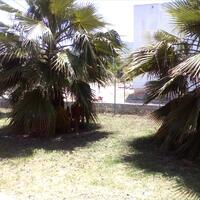 Other in Greece, Peloponnese, 160 sq.m.