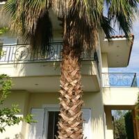 Other in Greece, Peloponnese, 106 sq.m.