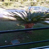 Other in Greece, Peloponnese, 135 sq.m.