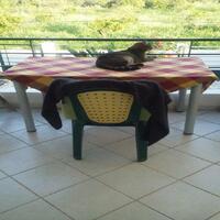 Other in Greece, Peloponnese, 135 sq.m.