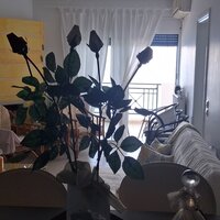 Flat in Greece, Peloponnese, Loutraki, 82 sq.m.