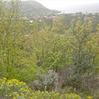 Island in Greece, Peloponnese, 3200 sq.m.
