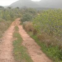 Island in Greece, Peloponnese, 3200 sq.m.
