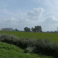Island in Greece, Peloponnese, 40000 sq.m.