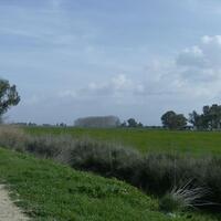 Island in Greece, Peloponnese, 40000 sq.m.