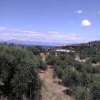 Остров в Греции, Пелопоннес, 1125 кв.м.