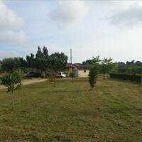 Other in Greece, Peloponnese, 86 sq.m.
