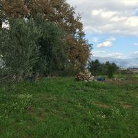 Other in Greece, Peloponnese, Messini, 140 sq.m.