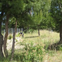 Island in Greece, 6500 sq.m.