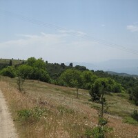 Island in Greece, 6500 sq.m.