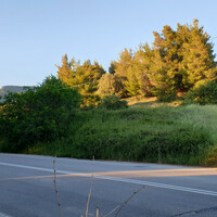 Island in Greece, Limni, 29486 sq.m.