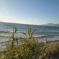 Island in Greece, Chalkida, 2750 sq.m.