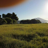 Island in Greece, Chalkida, 2750 sq.m.