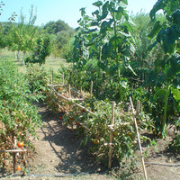 Other in Greece, Kastri, 120 sq.m.