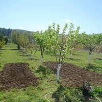 Other in Greece, Kastri, 120 sq.m.