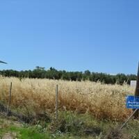 Other in Greece, Chalkida, 422 sq.m.