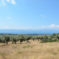 Other in Greece, Eretria, 210 sq.m.