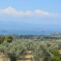 Other in Greece, Eretria, 210 sq.m.