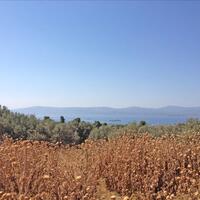 Other in Greece, Eretria, 460 sq.m.