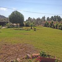Other in Greece, Eretria, 460 sq.m.